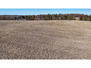 Property photo 1 - LAND AUCTION - 122+/- ACRES OFFERED IN 7 TRACTS IN HILLSDALE COUNTY, MICHIGAN