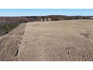 Property photo 14 - LAND AUCTION - 122+/- ACRES OFFERED IN 7 TRACTS IN HILLSDALE COUNTY, MICHIGAN