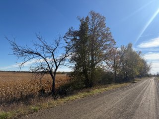 Property photo 35 - LAND AUCTION - 122+/- ACRES OFFERED IN 7 TRACTS IN HILLSDALE COUNTY, MICHIGAN