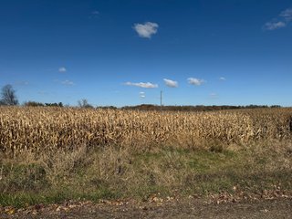 Property photo 32 - LAND AUCTION - 122+/- ACRES OFFERED IN 7 TRACTS IN HILLSDALE COUNTY, MICHIGAN