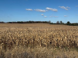 Property photo 23 - LAND AUCTION - 122+/- ACRES OFFERED IN 7 TRACTS IN HILLSDALE COUNTY, MICHIGAN