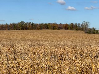 Property photo 26 - LAND AUCTION - 122+/- ACRES OFFERED IN 7 TRACTS IN HILLSDALE COUNTY, MICHIGAN