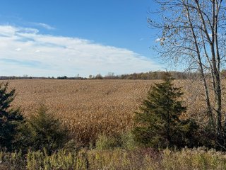 Property photo 30 - LAND AUCTION - 122+/- ACRES OFFERED IN 7 TRACTS IN HILLSDALE COUNTY, MICHIGAN