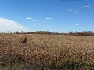 Property photo 31 - LAND AUCTION - 122+/- ACRES OFFERED IN 7 TRACTS IN HILLSDALE COUNTY, MICHIGAN