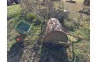 Property photo 67 - TIMED ONLINE ONLY PERSONAL PROPERTY AUCTION IN DEFIANCE COUNTY, OHIO