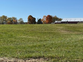 Property photo 48 - REAL ESTATE AUCTION -26+/- ACRES OFFERED IN 1 TRACT IN HANCOCK COUNTY, INDIANA