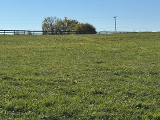Property photo 20 - REAL ESTATE AUCTION -26+/- ACRES OFFERED IN 1 TRACT IN HANCOCK COUNTY, INDIANA
