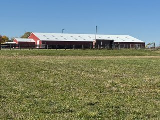 Property photo 19 - REAL ESTATE AUCTION -26+/- ACRES OFFERED IN 1 TRACT IN HANCOCK COUNTY, INDIANA
