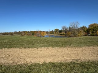 Property photo 16 - REAL ESTATE AUCTION -26+/- ACRES OFFERED IN 1 TRACT IN HANCOCK COUNTY, INDIANA