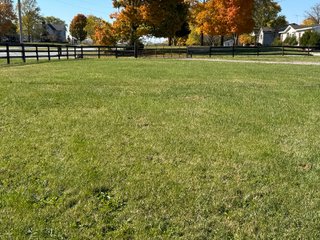 Property photo 10 - REAL ESTATE AUCTION -26+/- ACRES OFFERED IN 1 TRACT IN HANCOCK COUNTY, INDIANA