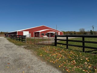 Property photo 8 - REAL ESTATE AUCTION -26+/- ACRES OFFERED IN 1 TRACT IN HANCOCK COUNTY, INDIANA