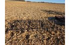 Property photo 36 - TIMED ONLINE ONLY FARM EQUIPMENT AUCTION IN CASS COUNTY, INDIANA