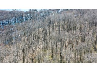 Consider the potential of this 18.77+/- acre woods within Warsaw city limits. Hunting available with permit. Potential timber value. Close to Little League baseball diamonds. - 18.77+/- Acres for Sale in Kosciusko County, Indiana
