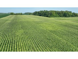 Property photo 5 - LAND FOR SALE - 20+/- ACRES OFFERED IN FAYETTE COUNTY, INDIANA