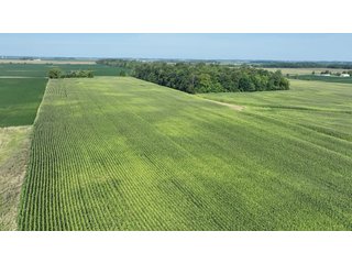 Property photo 6 - LAND FOR SALE - 20+/- ACRES OFFERED IN FAYETTE COUNTY, INDIANA