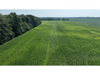 Property photo 8 - LAND FOR SALE - 20+/- ACRES OFFERED IN FAYETTE COUNTY, INDIANA