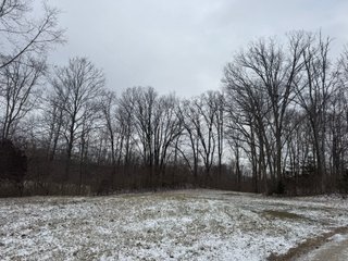 <b>CALL TODAY to examine the possibilities this property can off to YOU!</b>
-"Hunter's Paradise" featuring a mix of mature trees, elevation changes and a large stream 
flowing through the middle of the property
-Scattered meadows that can be used as income producing land or create your own food plots
-23.57+/- FSA Tillable acres with predominately Genesee and Sloan soils
-Heavy Whitetail pressure located in BIG BUCK COUNTRY
-Frequent Wild Turkey sightings
-Potential building site in the woods
-Current and long-term timber value. Quality Standing Timber! - PREMIER RECREATIONAL LAND WITH INCOME PRODUCING TILLABLE ACRES