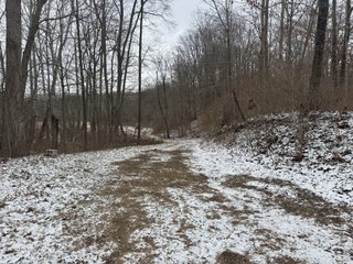 <b>CALL TODAY to examine the possibilities this property can off to YOU!</b>
-"Hunter's Paradise" featuring a mix of mature trees, elevation changes and a large stream 
flowing through the middle of the property
-Scattered meadows that can be used as income producing land or create your own food plots
-23.57+/- FSA Tillable acres with predominately Genesee and Sloan soils
-Heavy Whitetail pressure located in BIG BUCK COUNTRY
-Frequent Wild Turkey sightings
-Potential building site in the woods
-Current and long-term timber value. Quality Standing Timber! - PREMIER RECREATIONAL LAND WITH INCOME PRODUCING TILLABLE ACRES