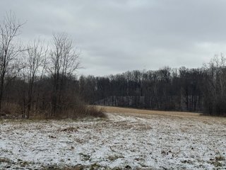 <b>CALL TODAY to examine the possibilities this property can off to YOU!</b>
-"Hunter's Paradise" featuring a mix of mature trees, elevation changes and a large stream 
flowing through the middle of the property
-Scattered meadows that can be used as income producing land or create your own food plots
-23.57+/- FSA Tillable acres with predominately Genesee and Sloan soils
-Heavy Whitetail pressure located in BIG BUCK COUNTRY
-Frequent Wild Turkey sightings
-Potential building site in the woods
-Current and long-term timber value. Quality Standing Timber! - PREMIER RECREATIONAL LAND WITH INCOME PRODUCING TILLABLE ACRES