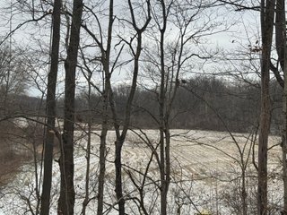 <b>CALL TODAY to examine the possibilities this property can off to YOU!</b>
-"Hunter's Paradise" featuring a mix of mature trees, elevation changes and a large stream 
flowing through the middle of the property
-Scattered meadows that can be used as income producing land or create your own food plots
-23.57+/- FSA Tillable acres with predominately Genesee and Sloan soils
-Heavy Whitetail pressure located in BIG BUCK COUNTRY
-Frequent Wild Turkey sightings
-Potential building site in the woods
-Current and long-term timber value. Quality Standing Timber! - PREMIER RECREATIONAL LAND WITH INCOME PRODUCING TILLABLE ACRES