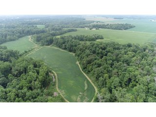 <b>CALL TODAY to examine the possibilities this property can off to YOU!</b>
-"Hunter's Paradise" featuring a mix of mature trees, elevation changes and a large stream 
flowing through the middle of the property
-Scattered meadows that can be used as income producing land or create your own food plots
-23.57+/- FSA Tillable acres with predominately Genesee and Sloan soils
-Heavy Whitetail pressure located in BIG BUCK COUNTRY
-Frequent Wild Turkey sightings
-Potential building site in the woods
-Current and long-term timber value. Quality Standing Timber! - PREMIER RECREATIONAL LAND WITH INCOME PRODUCING TILLABLE ACRES