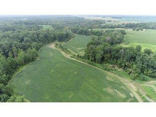<b>CALL TODAY to examine the possibilities this property can off to YOU!</b>
-"Hunter's Paradise" featuring a mix of mature trees, elevation changes and a large stream 
flowing through the middle of the property
-Scattered meadows that can be used as income producing land or create your own food plots
-23.57+/- FSA Tillable acres with predominately Genesee and Sloan soils
-Heavy Whitetail pressure located in BIG BUCK COUNTRY
-Frequent Wild Turkey sightings
-Potential building site in the woods
-Current and long-term timber value. Quality Standing Timber! - PREMIER RECREATIONAL LAND WITH INCOME PRODUCING TILLABLE ACRES