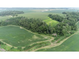 <b>CALL TODAY to examine the possibilities this property can off to YOU!</b>
-"Hunter's Paradise" featuring a mix of mature trees, elevation changes and a large stream 
flowing through the middle of the property
-Scattered meadows that can be used as income producing land or create your own food plots
-23.57+/- FSA Tillable acres with predominately Genesee and Sloan soils
-Heavy Whitetail pressure located in BIG BUCK COUNTRY
-Frequent Wild Turkey sightings
-Potential building site in the woods
-Current and long-term timber value. Quality Standing Timber! - PREMIER RECREATIONAL LAND WITH INCOME PRODUCING TILLABLE ACRES