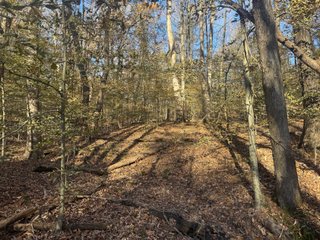 This 153+/- acre piece located in Mammoth Cave, KY sits in Edmonson County and borders the famous Mammoth Cave National Park. Any avid outdoorsman will quickly grow to admire this rural masterpiece and the natural beauty it provides. The property features numerous ponds, abundant wooded area suitable for hunting, and more. The primary dwelling measures 1,840 square feet and consists of three bedrooms, two bathrooms, and an unfinished basement. The dwelling also contains a 640 square foot two car attached garage. Additionally, a small hunting type cabin is present on the property as well as a utility barn for storage or other purposes. Furthermore, the property is within close proximity to a wide variety of attractions, such as Mammoth Cave, Nolin Lake, Blue Holler Off-Road Park, Mammoth Cave Horse Camp and much more. A wonderful opportunity for anyone looking for their ideal outdoor escape! - A Beautiful Setting in the Hills of South Central Kentucky!!