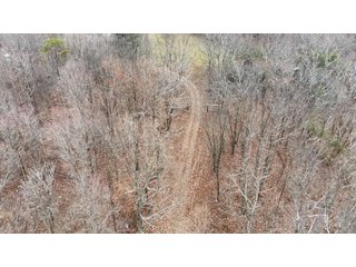 This 153+/- acre piece located in Mammoth Cave, KY sits in Edmonson County and borders the famous Mammoth Cave National Park. Any avid outdoorsman will quickly grow to admire this rural masterpiece and the natural beauty it provides. The property features numerous ponds, abundant wooded area suitable for hunting, and more. The primary dwelling measures 1,840 square feet and consists of three bedrooms, two bathrooms, and an unfinished basement. The dwelling also contains a 640 square foot two car attached garage. Additionally, a small hunting type cabin is present on the property as well as a utility barn for storage or other purposes. Furthermore, the property is within close proximity to a wide variety of attractions, such as Mammoth Cave, Nolin Lake, Blue Holler Off-Road Park, Mammoth Cave Horse Camp and much more. A wonderful opportunity for anyone looking for their ideal outdoor escape! - A Beautiful Setting in the Hills of South Central Kentucky!!