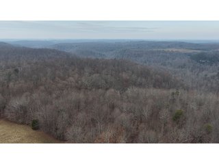 This 153+/- acre piece located in Mammoth Cave, KY sits in Edmonson County and borders the famous Mammoth Cave National Park. Any avid outdoorsman will quickly grow to admire this rural masterpiece and the natural beauty it provides. The property features numerous ponds, abundant wooded area suitable for hunting, and more. The primary dwelling measures 1,840 square feet and consists of three bedrooms, two bathrooms, and an unfinished basement. The dwelling also contains a 640 square foot two car attached garage. Additionally, a small hunting type cabin is present on the property as well as a utility barn for storage or other purposes. Furthermore, the property is within close proximity to a wide variety of attractions, such as Mammoth Cave, Nolin Lake, Blue Holler Off-Road Park, Mammoth Cave Horse Camp and much more. A wonderful opportunity for anyone looking for their ideal outdoor escape! - A Beautiful Setting in the Hills of South Central Kentucky!!