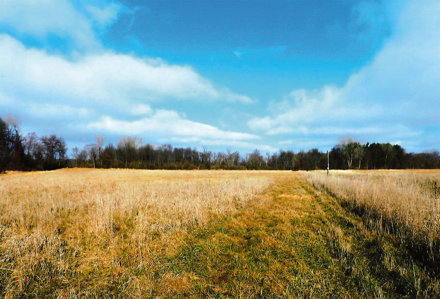 For sale: 74+/- ACRES FOR SALE IN STARKE COUNTY INDIANA - 800 S - Starke County Indiana