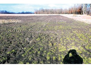 A 74+/- acre parcel of land with 51.35 acres tillable. This tract has 8+/- acres wooded and 9.87 acres in CRP programs. There is a small ditch on this property.
This parcel of land has frontage on CR 800S. - 74+/- ACRES FOR SALE IN STARKE COUNTY INDIANA