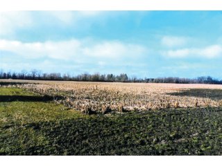 Property photo 1 - 74+/- ACRES FOR SALE IN STARKE COUNTY INDIANA