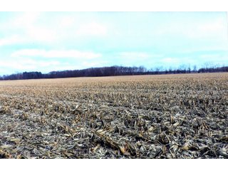 Property photo 2 - 74+/- ACRES FOR SALE IN STARKE COUNTY INDIANA