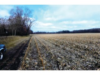 A 74+/- acre parcel of land with 51.35 acres tillable. This tract has 8+/- acres wooded and 9.87 acres in CRP programs. There is a small ditch on this property.
This parcel of land has frontage on CR 800S. - 74+/- ACRES FOR SALE IN STARKE COUNTY INDIANA