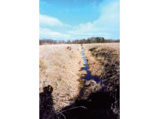 A 74+/- acre parcel of land with 51.35 acres tillable. This tract has 8+/- acres wooded and 9.87 acres in CRP programs. There is a small ditch on this property.
This parcel of land has frontage on CR 800S. - 74+/- ACRES FOR SALE IN STARKE COUNTY INDIANA