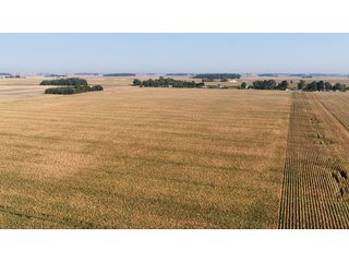Property photo 1 - LAND FOR SALE - 228+/-ACRES IN CASS COUNTY, INDIANA