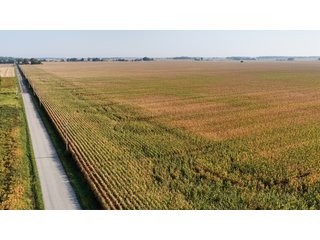This 228+/- acre farm has excellent location, excellent soils, 224.92 acres tillable in 1 field. The farm had farm tile installed in 2012 (call sale managers for a copy of tile map), excellent yields and good road frontage.
 - LAND FOR SALE - 228+/-ACRES IN CASS COUNTY, INDIANA