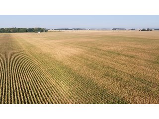 This 228+/- acre farm has excellent location, excellent soils, 224.92 acres tillable in 1 field. The farm had farm tile installed in 2012 (call sale managers for a copy of tile map), excellent yields and good road frontage.
 - LAND FOR SALE - 228+/-ACRES IN CASS COUNTY, INDIANA