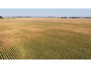 This 228+/- acre farm has excellent location, excellent soils, 224.92 acres tillable in 1 field. The farm had farm tile installed in 2012 (call sale managers for a copy of tile map), excellent yields and good road frontage.
 - LAND FOR SALE - 228+/-ACRES IN CASS COUNTY, INDIANA