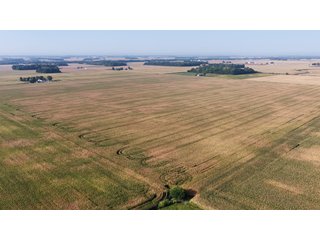 This 228+/- acre farm has excellent location, excellent soils, 224.92 acres tillable in 1 field. The farm had farm tile installed in 2012 (call sale managers for a copy of tile map), excellent yields and good road frontage.
 - LAND FOR SALE - 228+/-ACRES IN CASS COUNTY, INDIANA