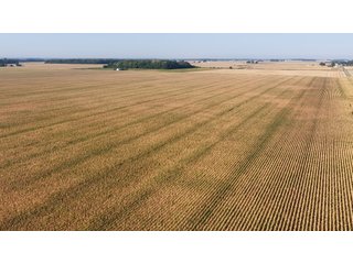 This 228+/- acre farm has excellent location, excellent soils, 224.92 acres tillable in 1 field. The farm had farm tile installed in 2012 (call sale managers for a copy of tile map), excellent yields and good road frontage.
 - LAND FOR SALE - 228+/-ACRES IN CASS COUNTY, INDIANA