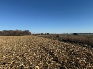 Excellent Farmland with Development Potential
Visibility from I-469
Frontage on Pleasant Center Road
Near the Ft Wayne International Airport
Public Water
Pleasant Twp
 - LAND FOR SALE - 74.30+/-ACRES OFFERED IN 1 TRACT IN ALLEN COUNTY, INDIANA