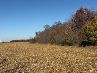 Excellent Farmland with Development Potential
Visibility from I-469
Frontage on Pleasant Center Road
Near the Ft Wayne International Airport
Public Water
Pleasant Twp
 - LAND FOR SALE - 74.30+/-ACRES OFFERED IN 1 TRACT IN ALLEN COUNTY, INDIANA