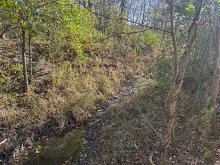 Excellent Farmland with Development Potential
Visibility from I-469
Frontage on Pleasant Center Road
Near the Ft Wayne International Airport
Public Water
Pleasant Twp
 - LAND FOR SALE - 74.30+/-ACRES OFFERED IN 1 TRACT IN ALLEN COUNTY, INDIANA