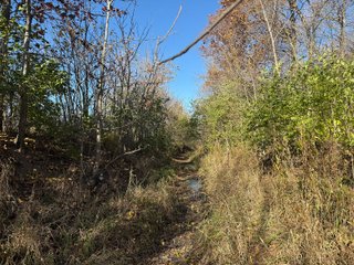 Excellent Farmland with Development Potential
Visibility from I-469
Frontage on Pleasant Center Road
Near the Ft Wayne International Airport
Public Water
Pleasant Twp
 - LAND FOR SALE - 74.30+/-ACRES OFFERED IN 1 TRACT IN ALLEN COUNTY, INDIANA