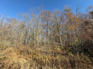 Excellent Farmland with Development Potential
Visibility from I-469
Frontage on Pleasant Center Road
Near the Ft Wayne International Airport
Public Water
Pleasant Twp
 - LAND FOR SALE - 74.30+/-ACRES OFFERED IN 1 TRACT IN ALLEN COUNTY, INDIANA
