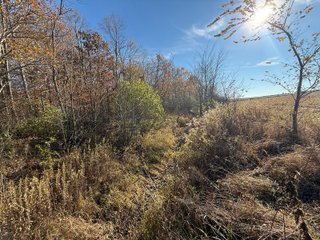 Excellent Farmland with Development Potential
Visibility from I-469
Frontage on Pleasant Center Road
Near the Ft Wayne International Airport
Public Water
Pleasant Twp
 - LAND FOR SALE - 74.30+/-ACRES OFFERED IN 1 TRACT IN ALLEN COUNTY, INDIANA