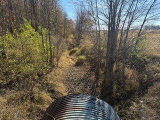 Excellent Farmland with Development Potential
Visibility from I-469
Frontage on Pleasant Center Road
Near the Ft Wayne International Airport
Public Water
Pleasant Twp
 - LAND FOR SALE - 74.30+/-ACRES OFFERED IN 1 TRACT IN ALLEN COUNTY, INDIANA