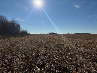 Property photo 16 - LAND FOR SALE - 74.30+/-ACRES OFFERED IN 1 TRACT IN ALLEN COUNTY, INDIANA
